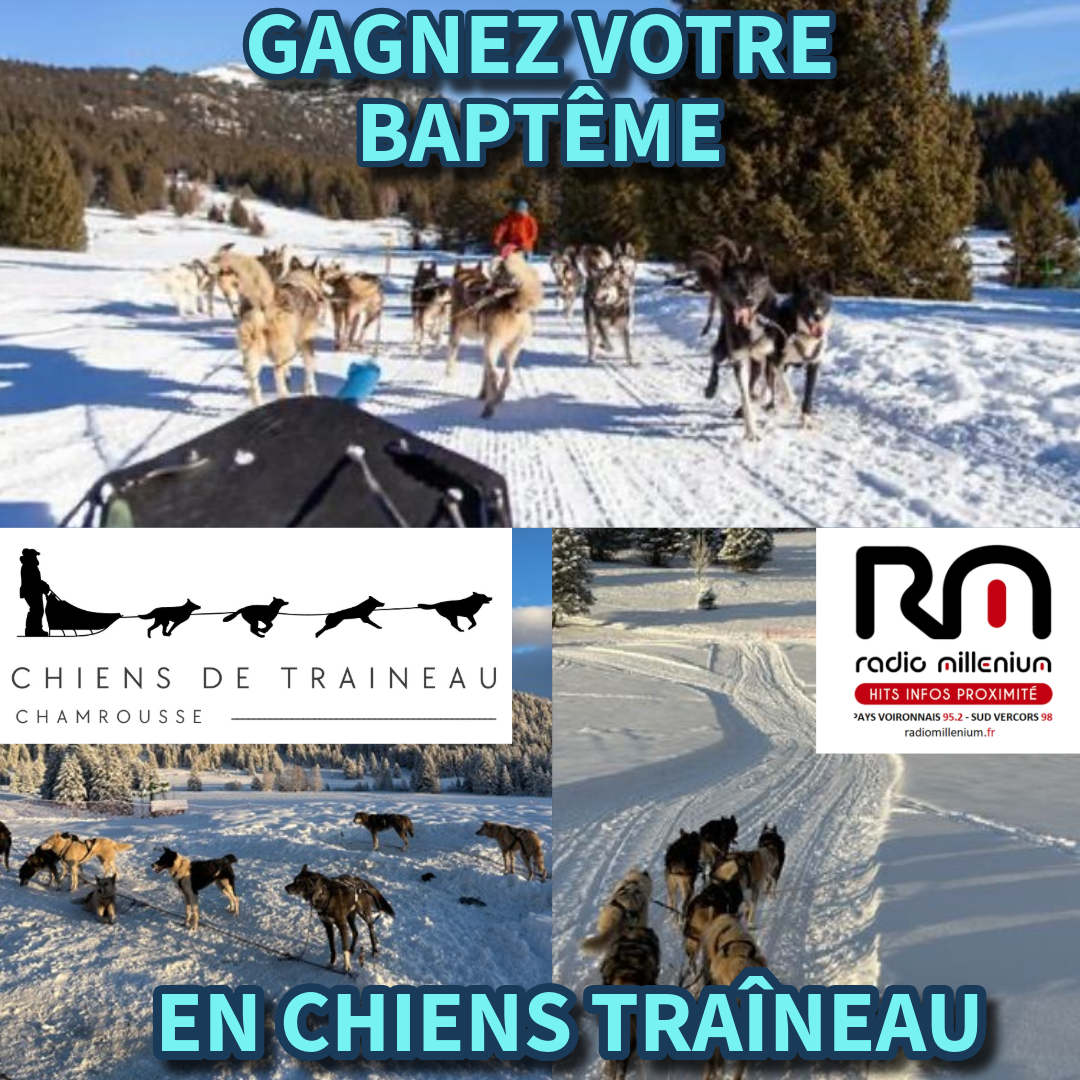 GAGNEZ VOTRE BAPTEME EN CHIENS DE TRAINEAU 